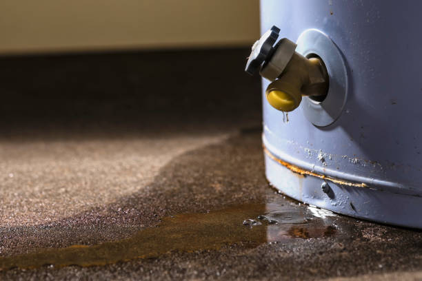 Best Carpet water damage restoration  in Logan, OH