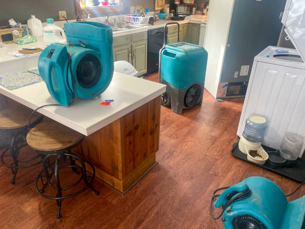 Best 24/7 water damage repair  in Logan, OH