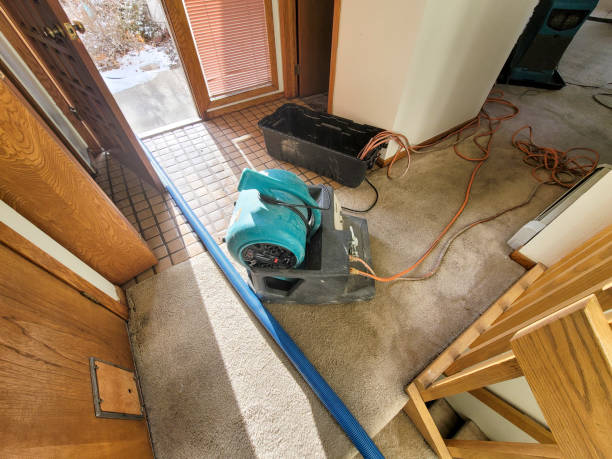 Best Fire Damage Restoration  in Logan, OH