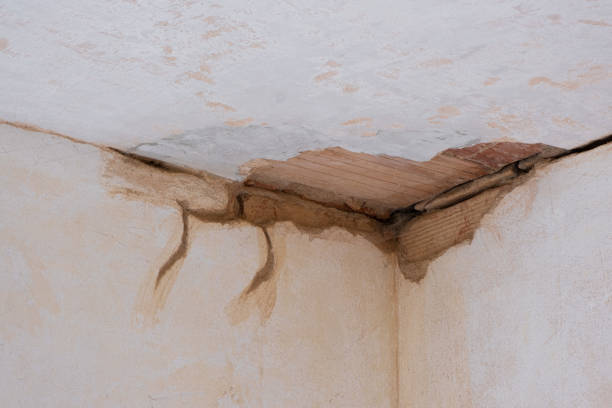Best Flood restoration services  in Logan, OH