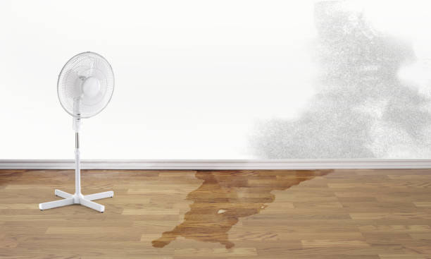 Water damage restoration process in Logan, OH