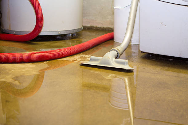 Best 24/7 water damage repair  in Logan, OH