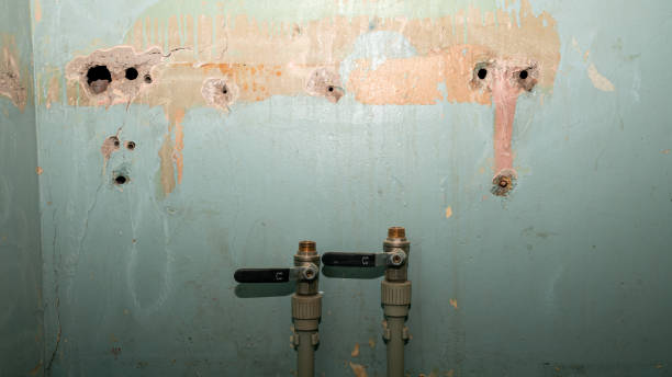 Carpet water damage restoration in Logan, OH