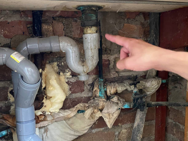 Best Flood damage cleanup  in Logan, OH