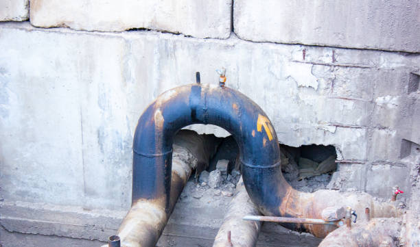 Best Mold removal after water damage  in Logan, OH