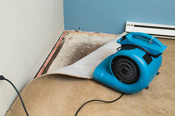 Best Flooded house restoration  in Logan, OH